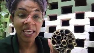 Science at Home! Build Your Own Bee Hotel