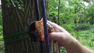 Kong - Back-Up Review