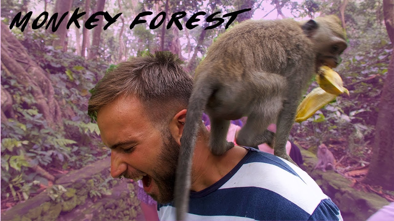 IS UBUD JUST A TOURIST TRAP? | Bali, Indonesia