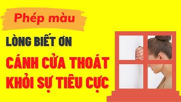 Kiểm Soát Cảm Xúc - Cách Trị Cảm Xúc Tiêu Cực Để Có Cuộc Sống Hạnh Phúc