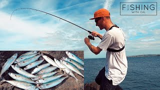 HOW TO CATCH MACKEREL ON LIGHT GEAR  PLUS FEATHERS | SHORE FISHING FOR MACKEREL