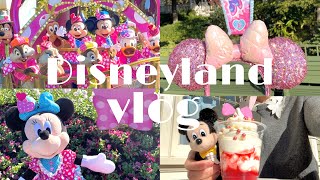 ひとりディズニーvlog】ミニーちゃんでいっぱいのディズニーランド