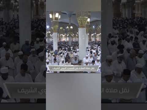 أولا يرون أنهم يفتنون في كل عام مرة أو مرتين ثم لا يتوبون ولا هم يذكرون التوبة ١٢٦ ١٢٧