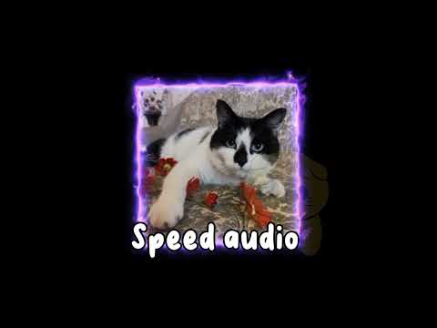 Видео: Speed audio/Малыш/Мурка/Баффи/ВСТРЕЧАЙ МИР @anykadavaika