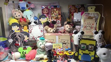 次回の予告と購入品紹介（セリア）