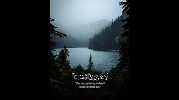 إلا تنصروه فقد نصره الله إذ أخرجه الذين كفروا ثاني اثنين إذ هما في الغار التوبة ٤٠ قرآن 
