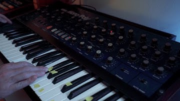 Korg Monopoly Poly Mode Arpeggiator