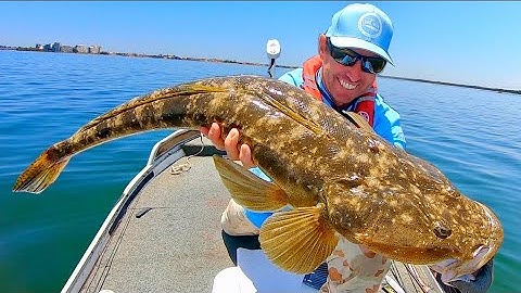 CATCHING GIANT FLATHEAD on Soft Glides