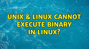 Unix & Linux: Cannot execute binary in Linux?