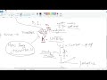Genetic Algorithm - (True) Chaos GRid Search (Part 1)
