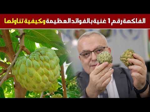 ما هي الأمراض التي تعالجها القشطة حينما تدخل لأجسادنا فوائد القشطة للدماغ وتقوية الأعصاب والمفاصل
