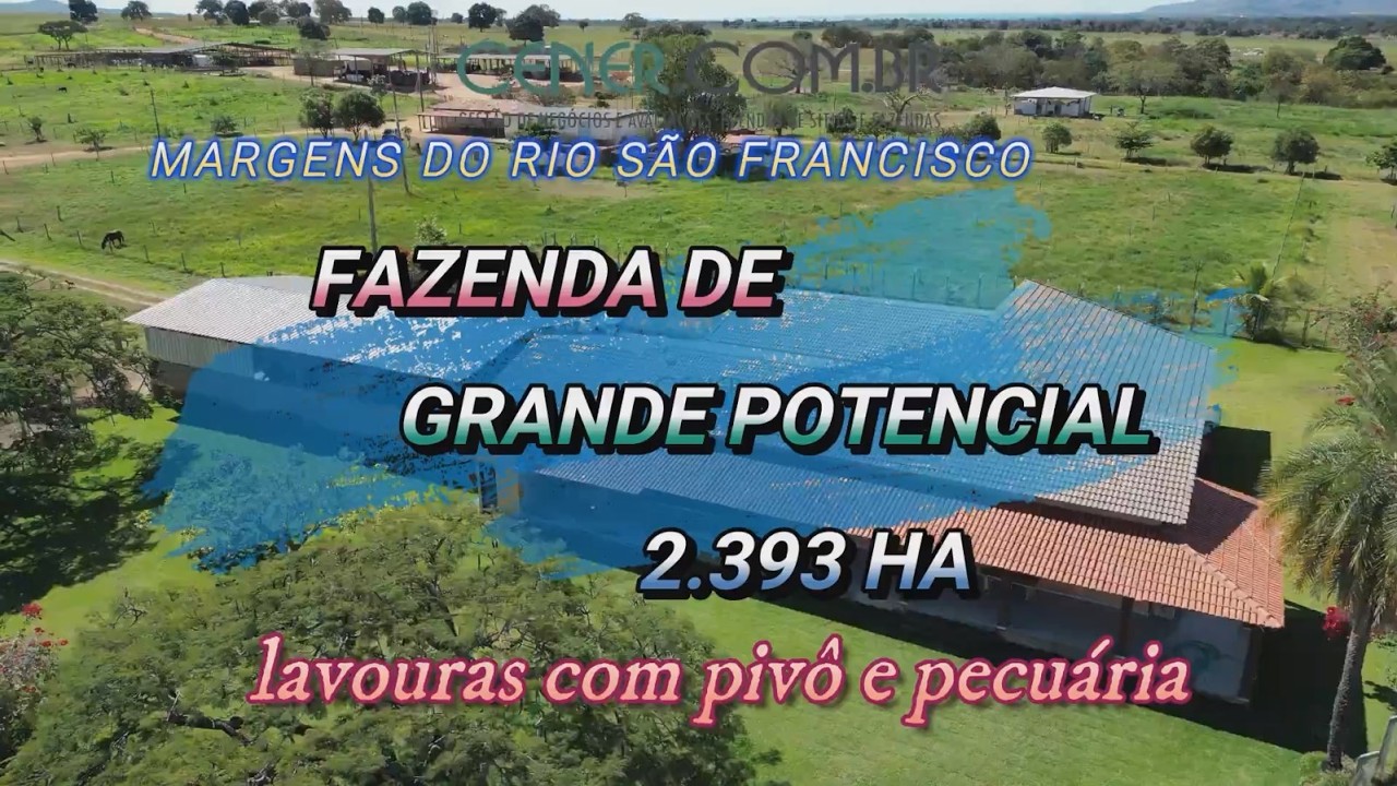Uma das mais belas fazendas de lavouras com pivô e pecuária, 2 400 ha por 95 milhões