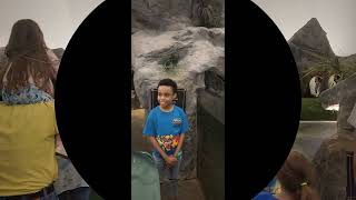 Visiting The St. Louis Missouri Zoo!