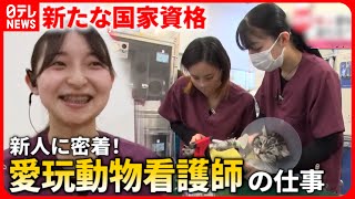 【密着】動物の命支えたい新人の”愛玩動物看護師”の奮闘『every.特集』