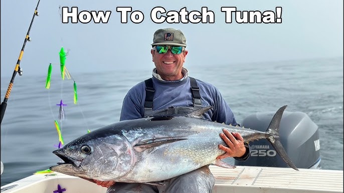 10 Best Lures for Catching TUNA!!! 