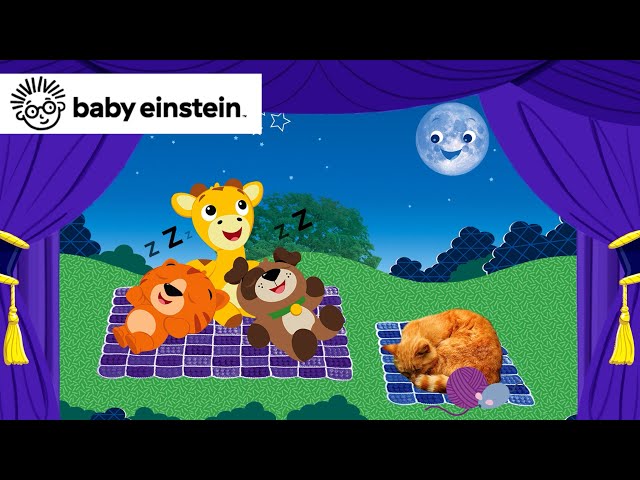 Baby Einstein (@babyeinstein) • Instagram photos and videos