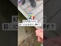 5万円失うけど巨◯になるボタン押す？