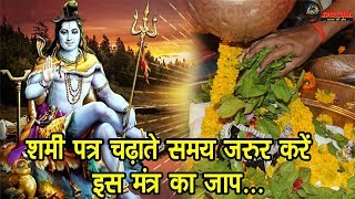 शमी पत्र चढ़ाते समय जरुर करें इस मंत्र का जाप, भगवान शंकर जल्दी दूर करेंगे आपकी दरिद्रता...