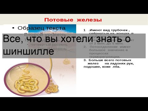 Внимание, федеральный розыск: понятие и особенности