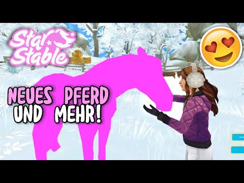 Absolutes Traumpferd 😍🎀 SSO Pferdekauf & Shopping ☝🏼
