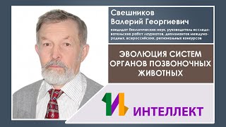 Эволюция систем органов позвоночных животных | Свешников Валерий Георгиевич