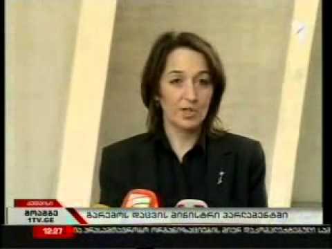 გარემოს დაცვის მინისტრი პარლამენტში