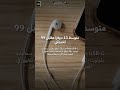 سماعات سلكية أم لاسلكية في 2026؟ المقارنة الكاملة بالأرقام