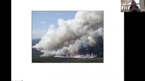 Boreal megafires, thawing permafrost and the erosion of ecological legacies