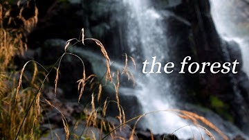 Embracing Change: A Cinematic Journey