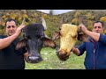 GREAT BISON HEAD SOUP RECIPE | TRADITIONAL DELICIOUS DISH OF SOUP KHASH FROM THE COW HEAD