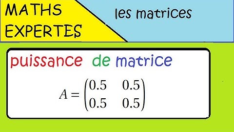 Terminale Maths Expertes- Les matrices - exercice : puissance d