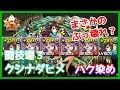 【パズドラ】極限の闘技場3ソロ　転生クシナダヒメ　まさかのぶっ壊れ性能？サブはハクちゃんズ！【実況】