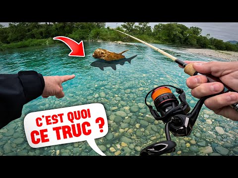 I catch this unlikely fish with this technique!