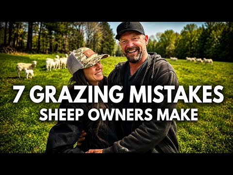 7 Spring Grazing MISTAKES Sheep Owners Makes