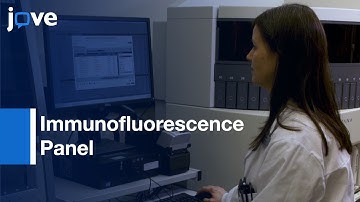 Immunofluorescence Panel for Studies on Carcinoma Tissue Specimens | Protocol Preview
