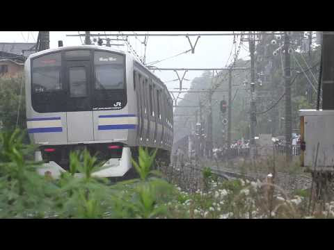 雨の中を走る横須賀線E217系
