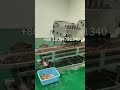 cashew shelling machine with separator