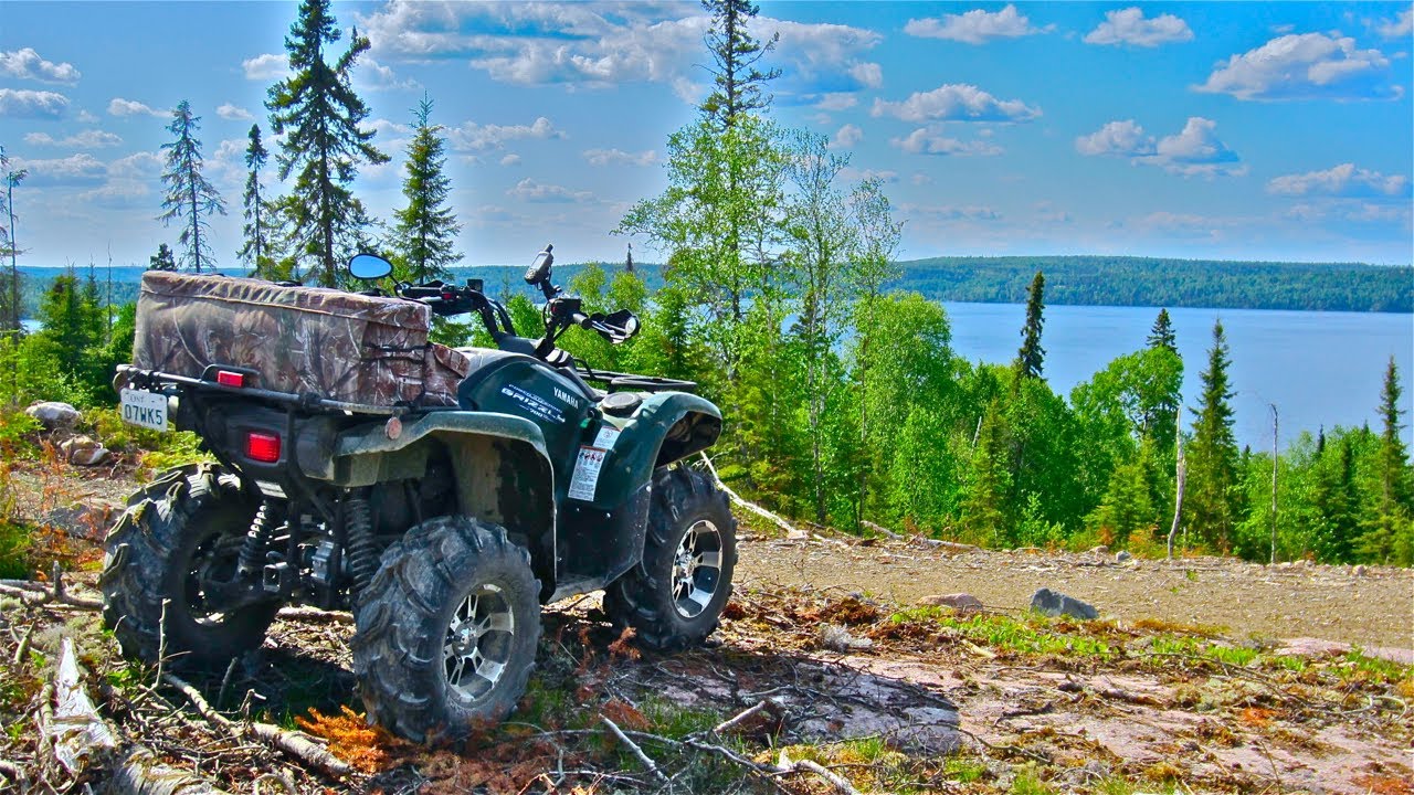 Yamaha Grizzly ATV And Kodiak ATV Search For Black Bears On Beartrack