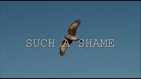Sandra - Such A Shame (NG Remix)