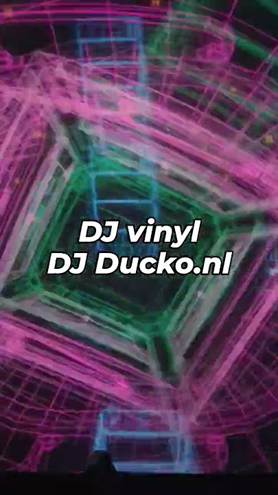 Full dance floor with DJ DUCKO - Allround DJ for weddings and parties