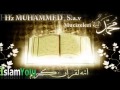 Hz. Muhammed ( s.a.v ) ve Mucizeleri islamyolu.org