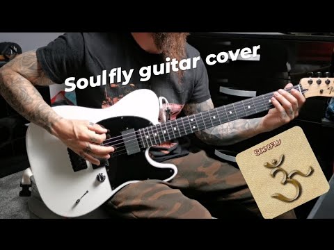 seek n strike soulfly guitar cover