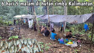 6 Days Deep in the Jungle: Hunting Fish in the Headwaters of Borneo