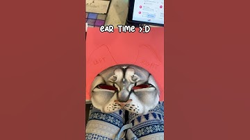 Making a Bluestar therian mask! #therian #therianthropy #furry #funny #therianmask #quadrobics