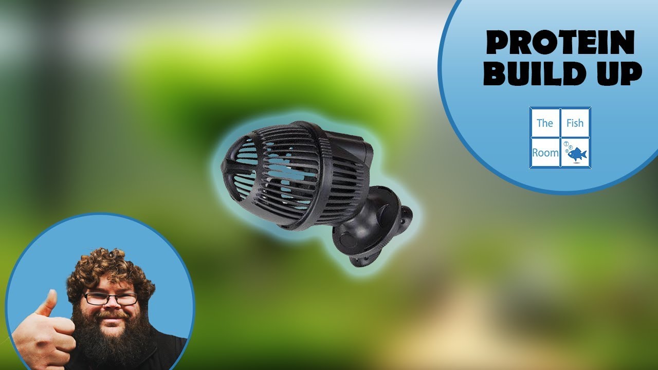 How to fix a protein build up on YOUR AQUARIUM! - YouTube