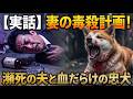 【実話】信じていた妻の恐るべき毒殺計画。瀕死の実業家を救うため、血だらけで吠え続けた野良犬の正体は…30年前に別れた愛犬が起こした奇跡の絆