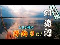 東京から１時間 巨ベラが狙える沼で３０日間釣りしてみた！ 【印旛沼 牛久沼 小貝川 乗っ込みへらぶな釣り】