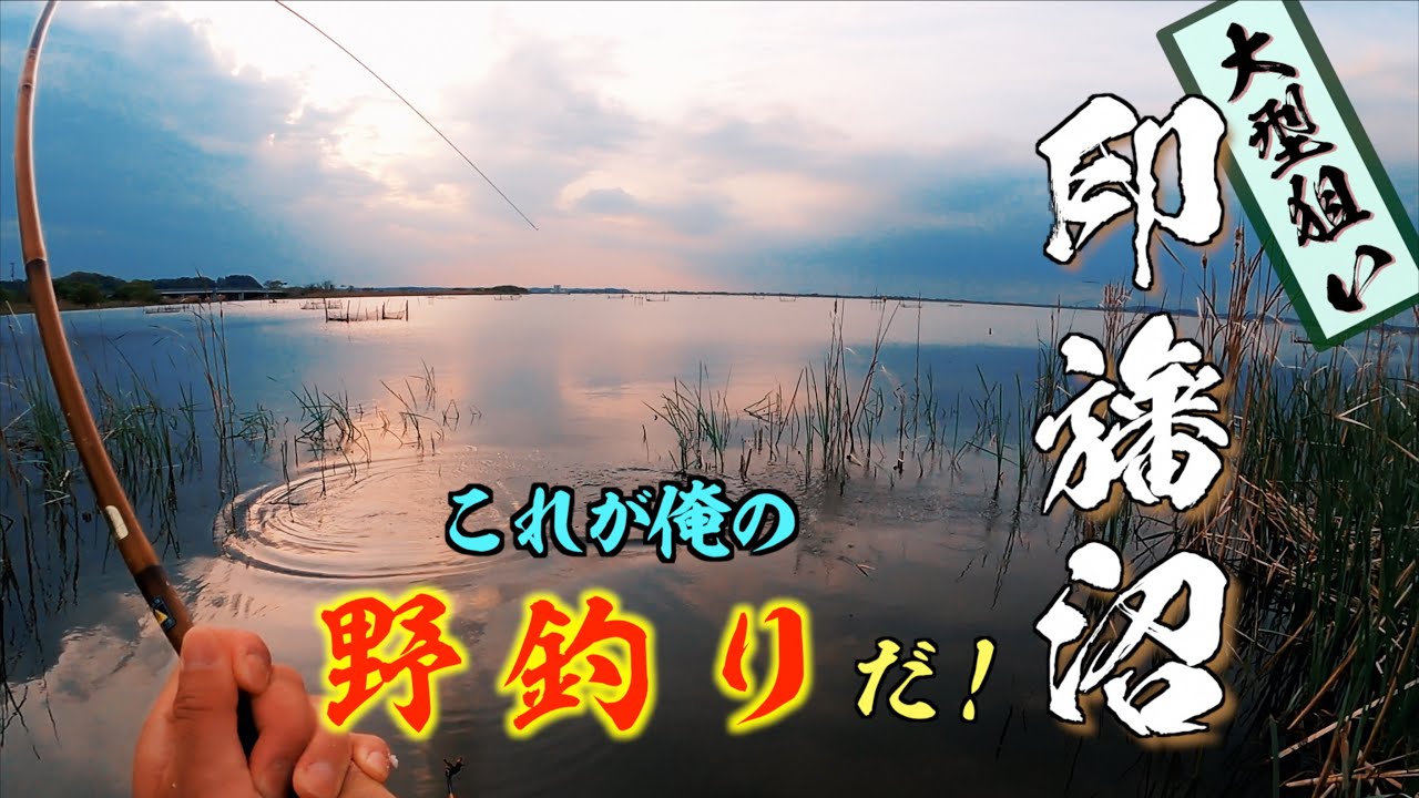 東京から１時間 巨ベラが狙える沼で３０日間釣りしてみた！ 【印旛沼 牛久沼 小貝川 乗っ込みへらぶな釣り】