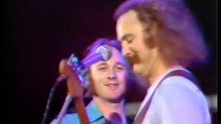 CROSBY  \&  STILLS  \&  NASH  \&  YOUNG - Almost Cut My Hair (  Live In Wembley Stadium , London , 1974
