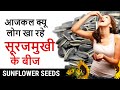 These are the benefits of eating just 1 spoon of sunflower seeds sunflower seeds benefits in hindi